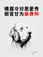 迎风坡 [http://568450797.qzone.qq.com]情人节，关爱单身狗公益活动。
