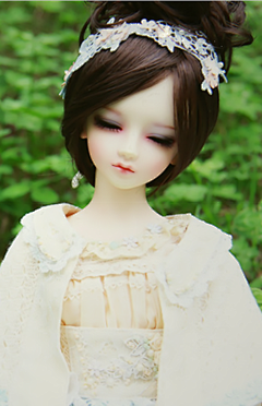 BJD(SD)娃娃的告白