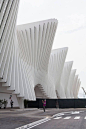 Neuer Bahnhof der Reggio Emilia / Santiago Calatrava, Zürich