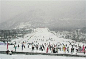 西岭雪山旅游