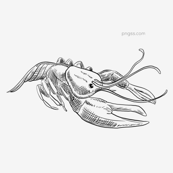 9f947683d444432060ccc2003651eacd509616d684bd-3ktdVv