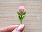 #LUPY分享#作品【Little grumpy rose】作者milkybon