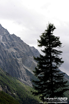 Yunlit采集到四姑娘山_激情川西之旅