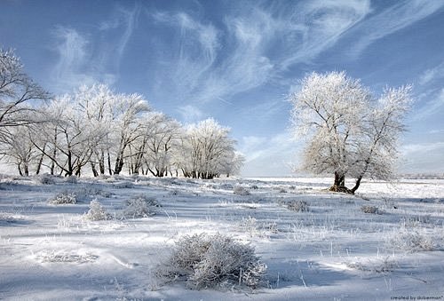 白色梦幻: 冬季雪景摄影欣赏