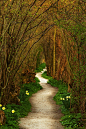 The Winding Path, a photo from Zuid Holland, South | TrekEarth