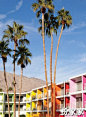 【扮家家】Saguaro Palm Springs 酒店设计，丰富多“彩”的设计_初晓_写意_新浪轻博客_Qing