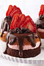 Mini Chocolate Strawberry Party Cakes