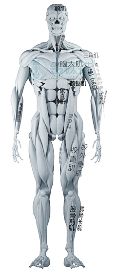 OTS44采集到教程