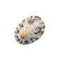 超高清 海星 海螺 贝壳 珊瑚 海马等 航洋生物主题 png元素 shell-34