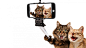 General 1920x1080 animals cat pet selfies smartphone selfie stick humor white background photo manipulation laughing photoshopped