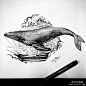 欧美点刺鲸鱼纹身图案手稿