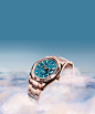 professional-watches-sky-dweller-dual-time-zone_m336935-0001_2301jva_002.jpg (2440×2923)