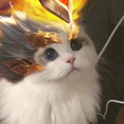 a018f28c64cb314ca07b98edd88957f74431857e8243-BHLyYD