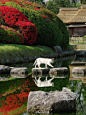 早安。图：岡山後楽園 （日本三大名园之一）OKAYAMA KORAKUEN GARDEN, JAPAN PHOTO BY KAZ WATANABE