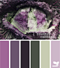 Design Seeds®: For All Who Love Color