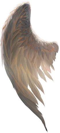 翅膀1