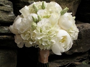 White peonies, hydra...