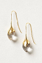 Crystallized Water Drops #anthropologie #anthrofave - they remind me of calla lilies: 