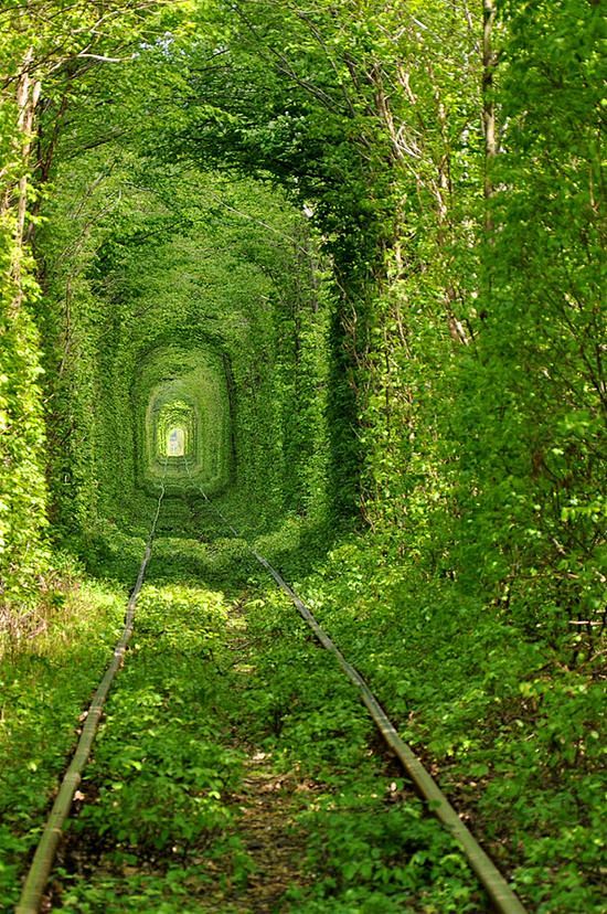 The Tunnel of Love i...