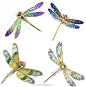  【蜻蜓古董珠宝合集】
蜻蜓是维多利亚到新艺术时期很常见的形象
分享四十多只不同的胸针/吊坠
图片放不下了评论继续发
还有蜻蜓设计素材