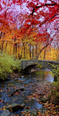 Autumn ~ Corvallis, Oregon | PicsVisit