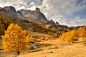 Autumn splendor by matthieu-parmentier on deviantART