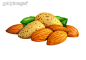 食品,白色,坚果,健康生活方式,插图画法_88455488_Group of Almonds_创意图片_Getty Images China