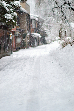 LetItallgo采集到Winter/岁暮天寒