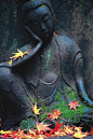 Buddha, Park in Tokyo. Japanese red maple absolutely says fall!