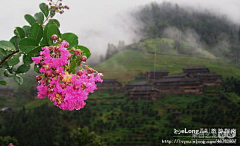 piaohq采集到龙脊梯田-2008夏 桂北, 欣