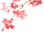 Cherry Blossom PNG 2 by dothenyancat