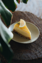 Lemon Cheesecake on white background