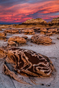 This may contain: a rock formation in the middle of a desert under a pink sky with clouds above it