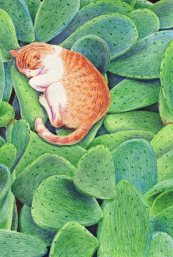 猫咪 午安 绿 治愈 植物 安静 恬静