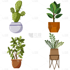 花瓣素材采集到绿植免抠元素