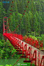 日本的红桥，如此极致的用色，走在这一定会忘掉很多烦恼~ ！！