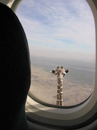 Flying over Africa |...