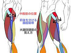 遥遥sama采集到结构透视素描