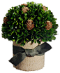 Silk Plants Direct Preserved Boxwood and Pine Cone Ball (Pack of 6) traditional-artificial-flowers-plants-and-trees