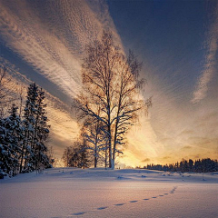 蕩失璐采集到雪景