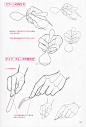 吃货的画法：拿筷子/餐具的手部画法面部... 来自浮光绘画 - 微博