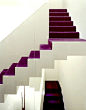 紫色的楼梯。紫色的楼梯。