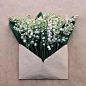 想在七夕給你郵寄一份信。沒有文字和言語，只為你採花、揖綠、藏香，你會願意么？
