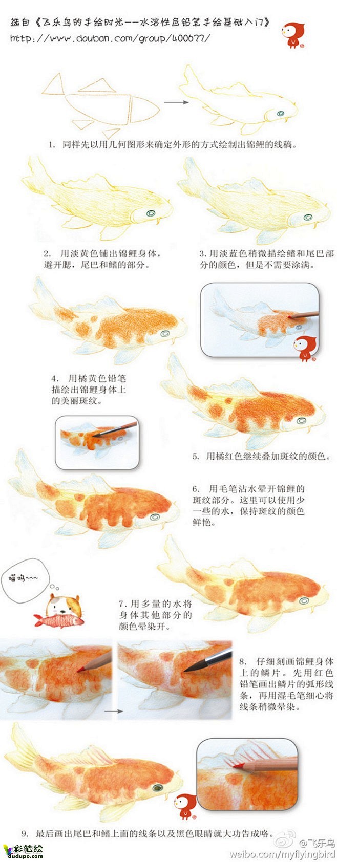 【绘画教程】锦鲤 飞乐鸟