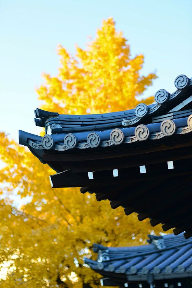 Japanese roof detail...