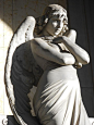 “angelo di monteverde”的图片搜索结果