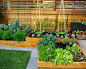 Vegetable Box Home Design Ideas, Pictures, Remodel and Decor