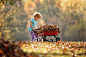 Photography of Child Pushing the Wagon