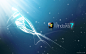 Microsoft Windows 7 blue wallpaper (#867643) / Wallbase.cc