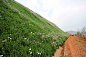 深圳最美立体绿化景观边坡的搜索结果_360图片